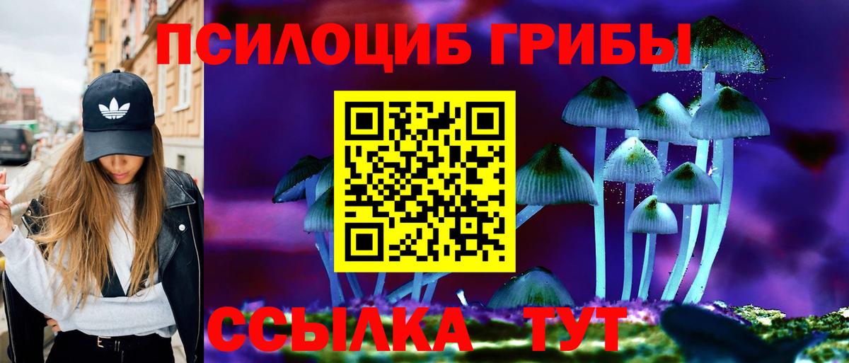 Псилоцибиновые грибы Cubensis Королёв