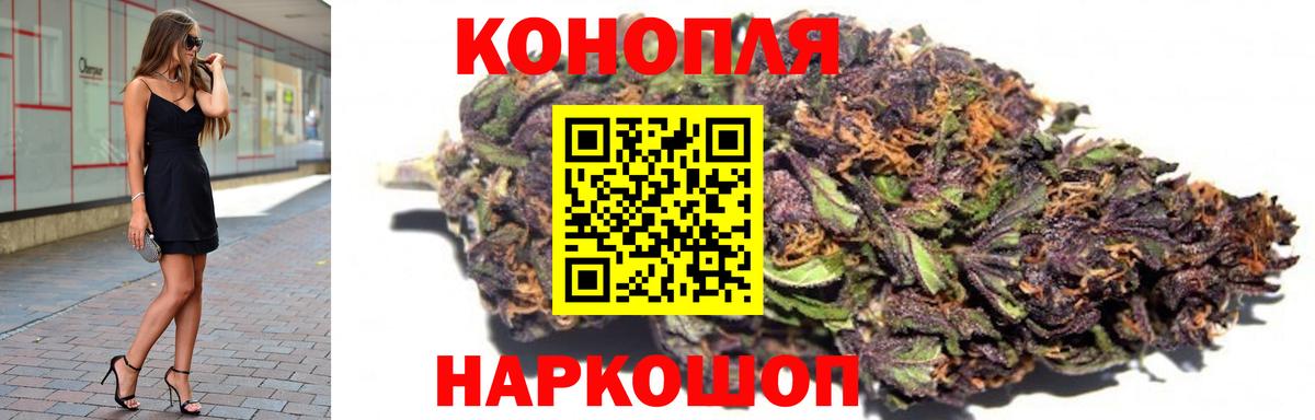 Шишки марихуана план  Канабис марихуана  Королёв  Марихуана LSD WEED  Вход с VPN 